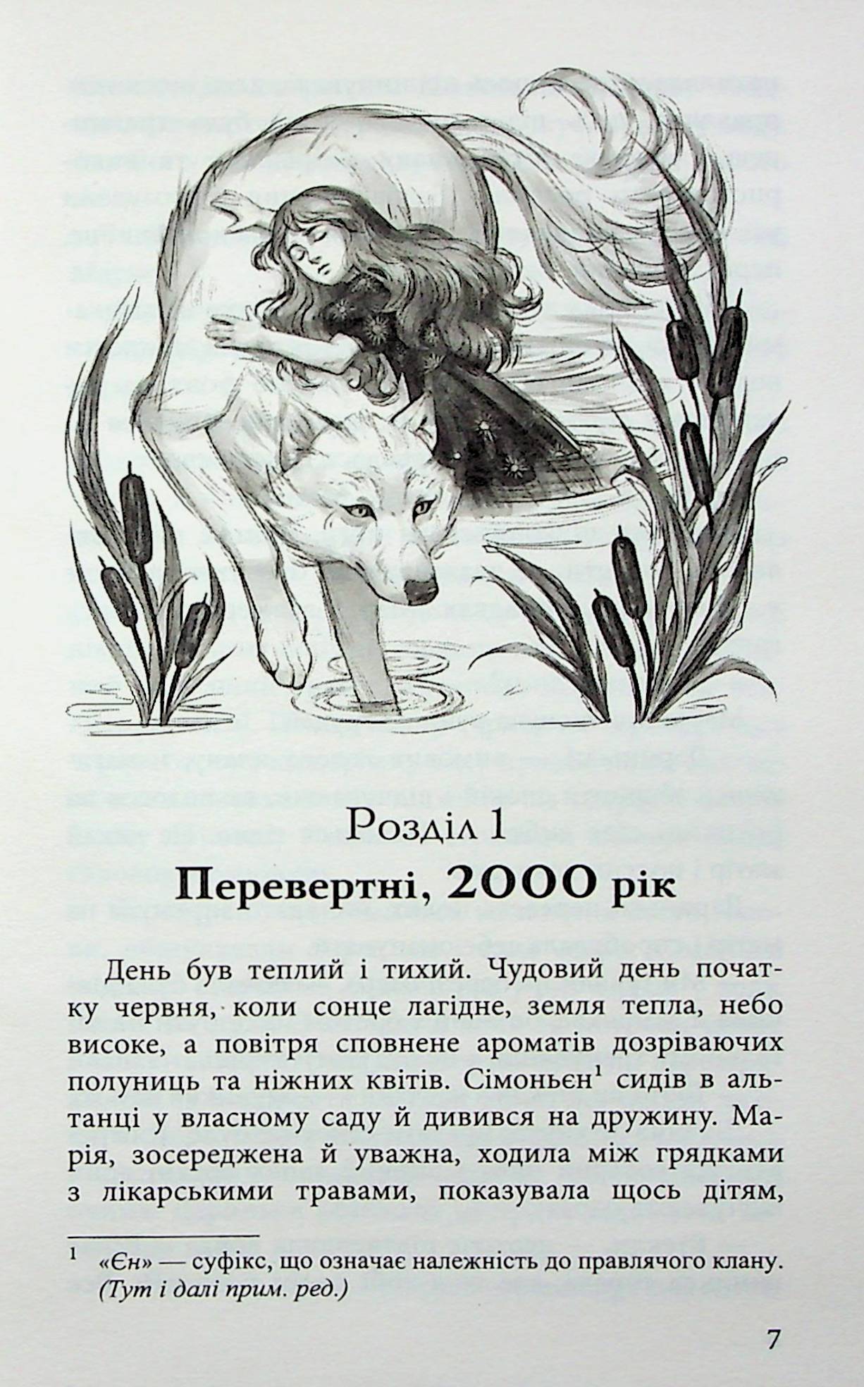 Книга "Гордієнко Н. Межи світів. Дари справжніх" (у) (9894) 5