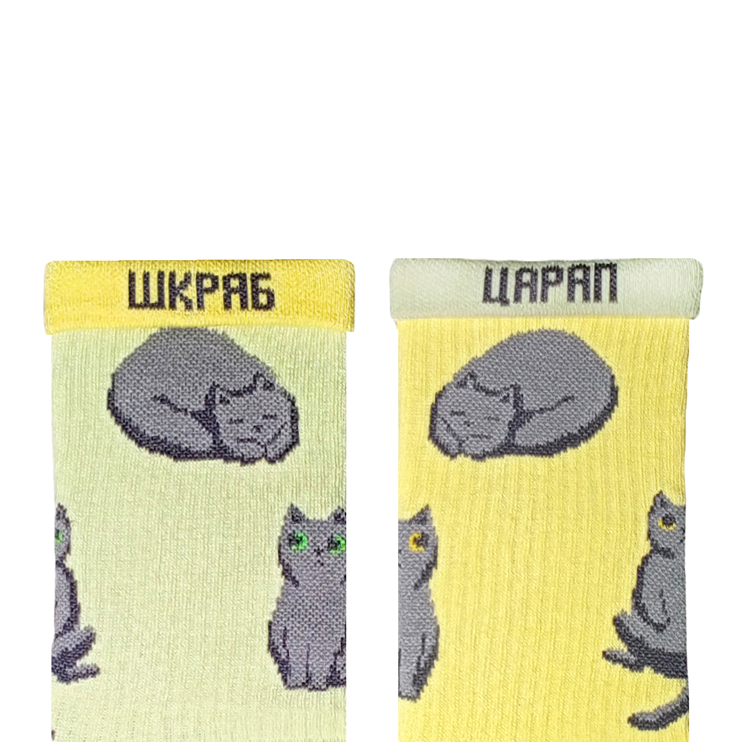 Носки "Британский кот" р.41-46, britishcat46 1