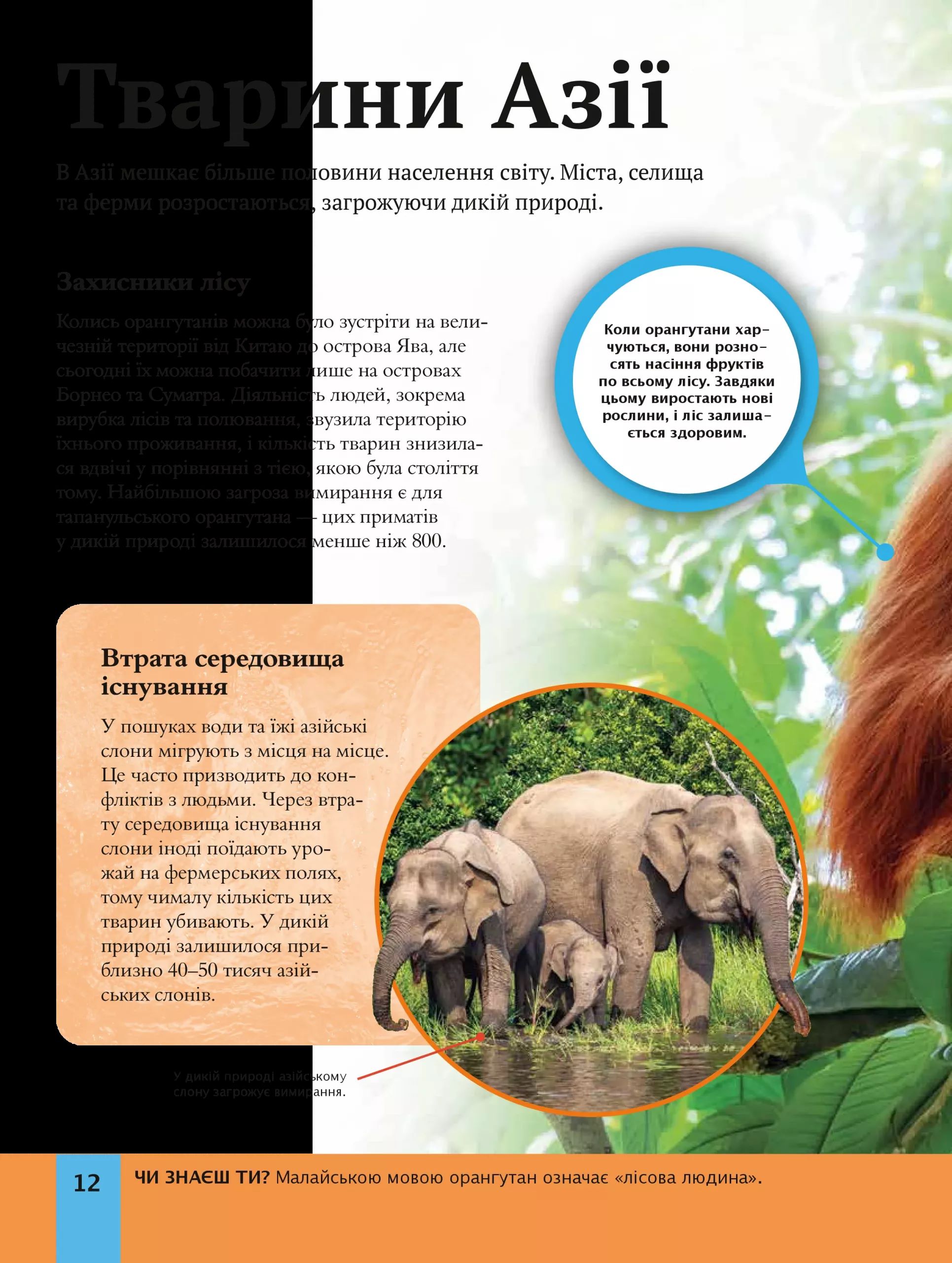 Книга "Дитяча енциклопедія довкілля. Дваєр Г." (у) (4831) 1