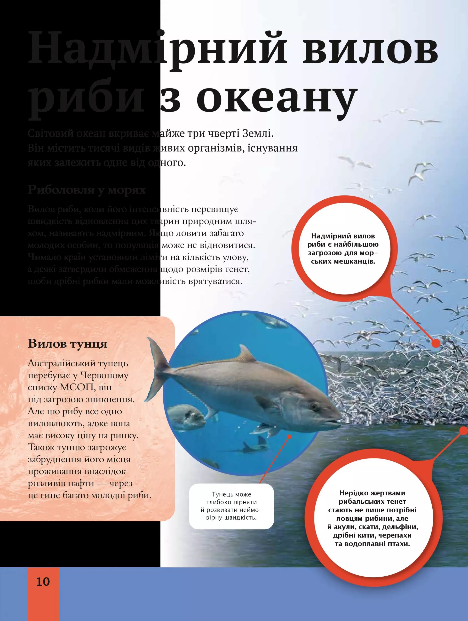 Книга "Дитяча енциклопедія довкілля. Дваєр Г." (у) (4831) 7