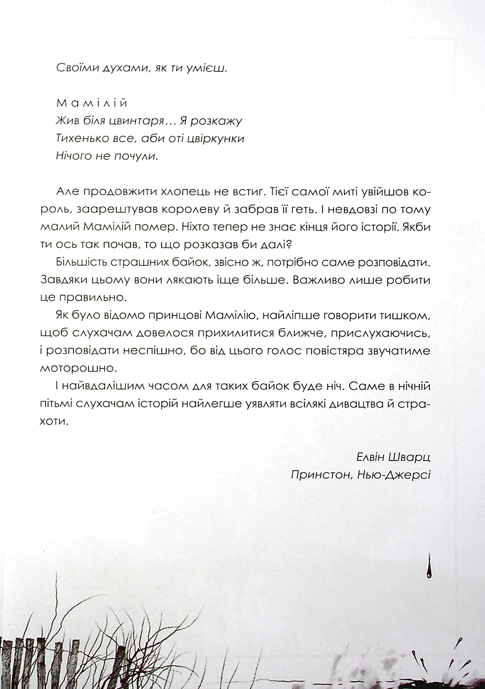 Книга "Шварц Е. Страшні історії для розповіді в темряві" (у) 4