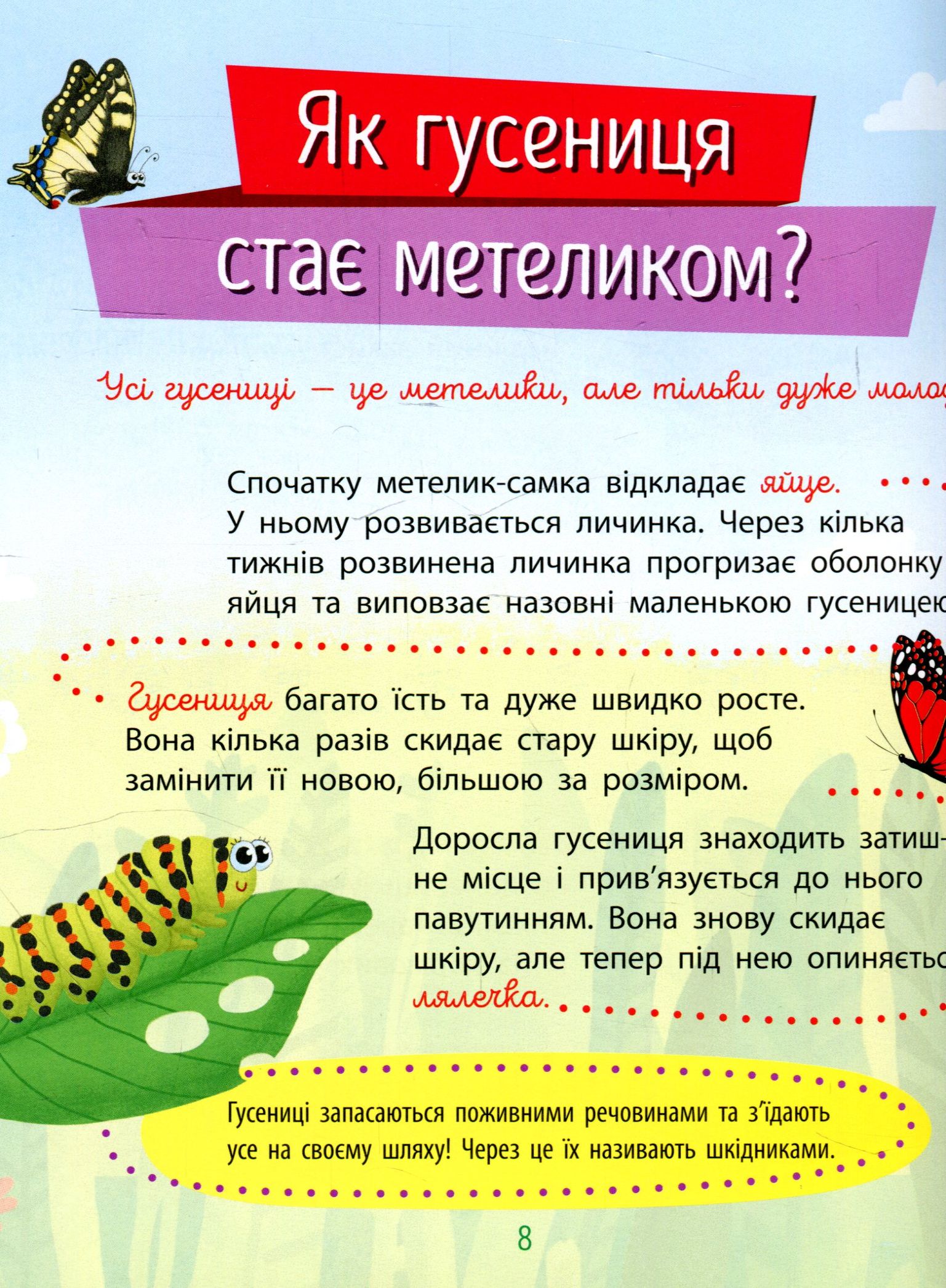Книга "Чомусики. Комахи. Булгакова Г." (у) (7872) 3