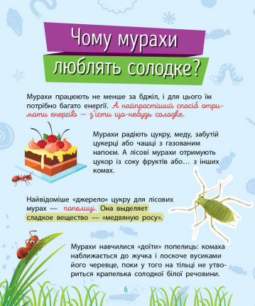 Книга "Чомусики. Комахи. Булгакова Г." (у) (7872) 10