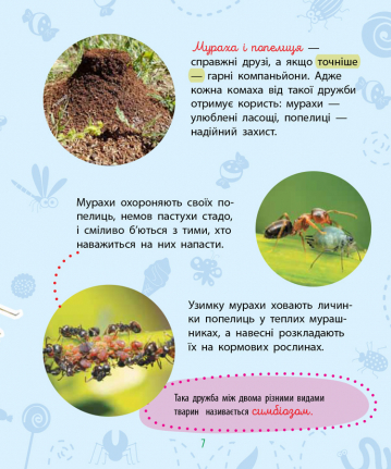 Книга "Чомусики. Комахи. Булгакова Г." (у) (7872) 11