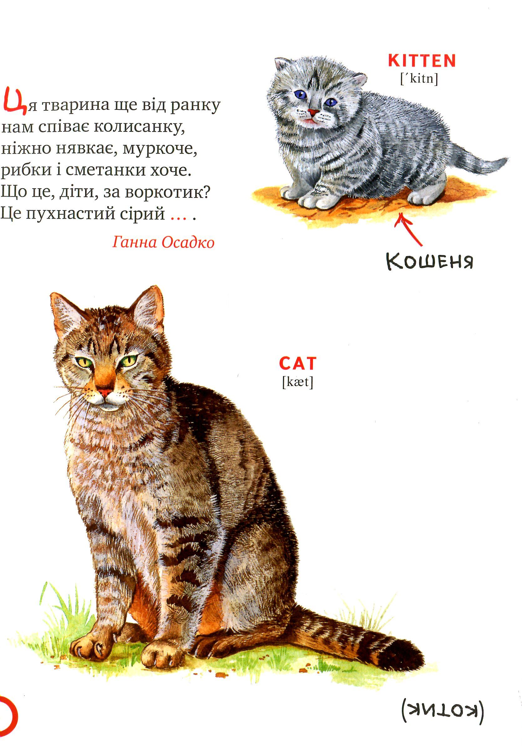 Книга "Крупчан С. Про хвостатих і крилатих" (у) (3911) 4