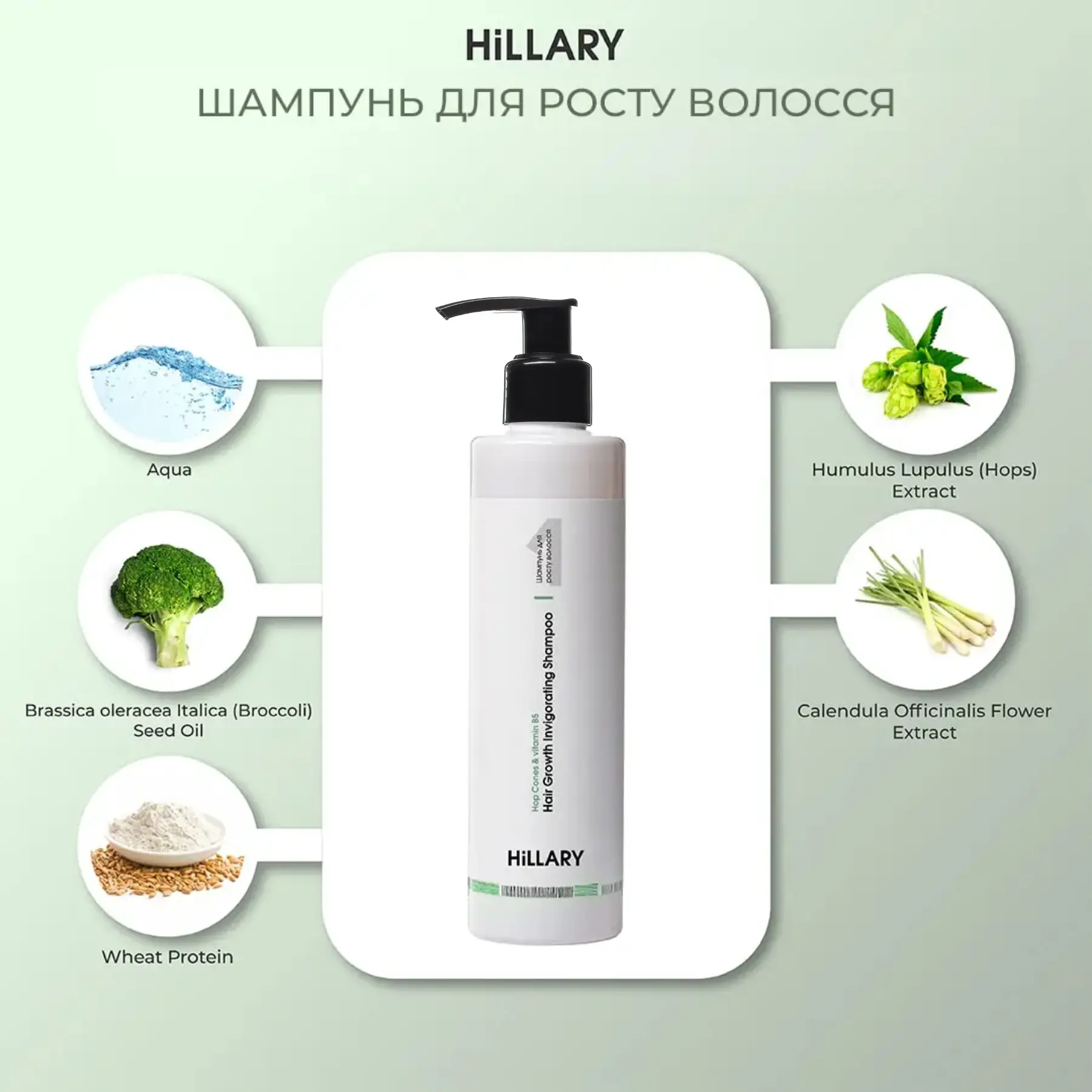 Шампунь для росту волосся Hillary Hop Cones & B5 Hair Growth Invigorating, 250 мл, HI-07-203 3