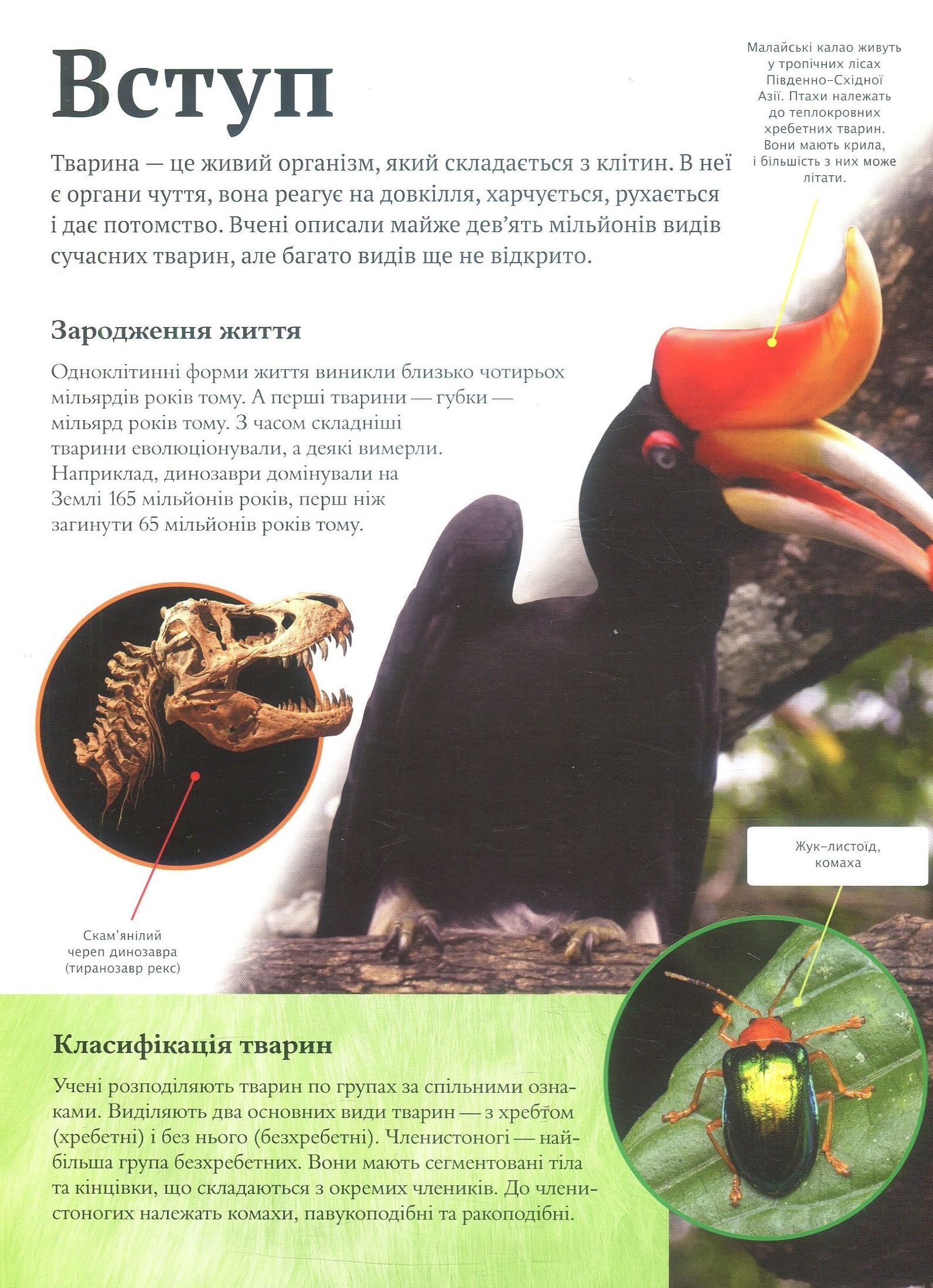Книга "Лич М. Дитяча енциклопедія тварин" (у) (5751) 3