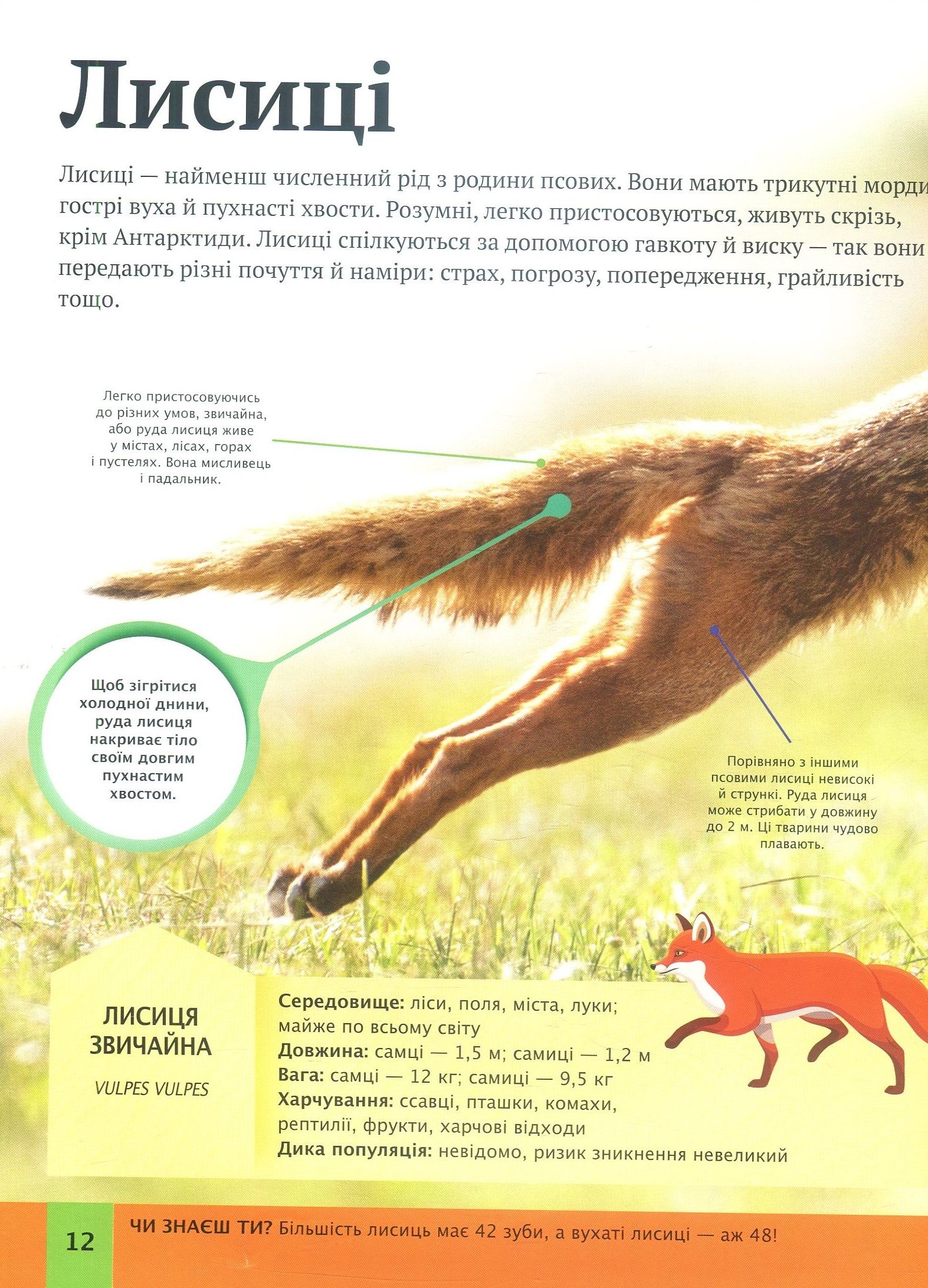 Книга "Лич М. Дитяча енциклопедія тварин" (у) (5751) 9
