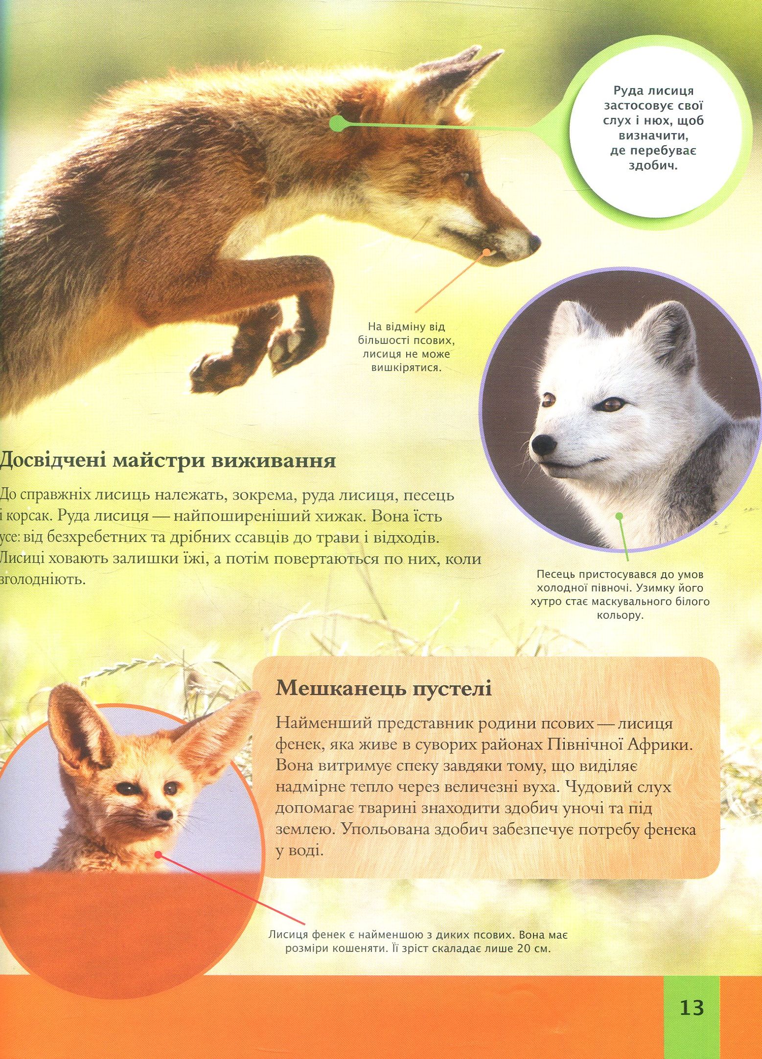 Книга "Лич М. Дитяча енциклопедія тварин" (у) (5751) 10