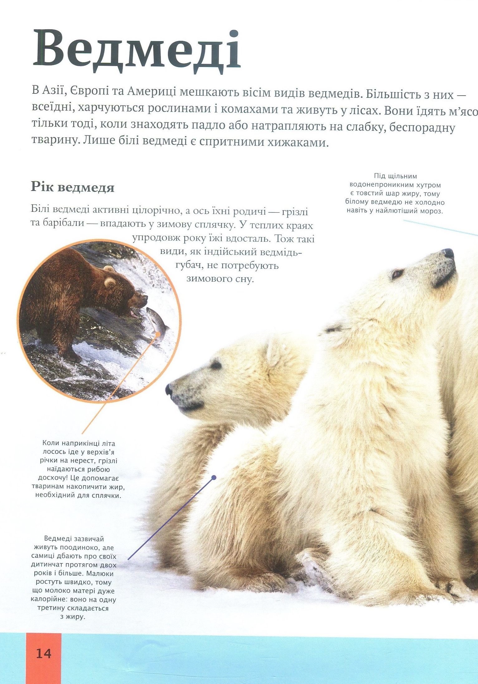 Книга "Лич М. Дитяча енциклопедія тварин" (у) (5751) 11
