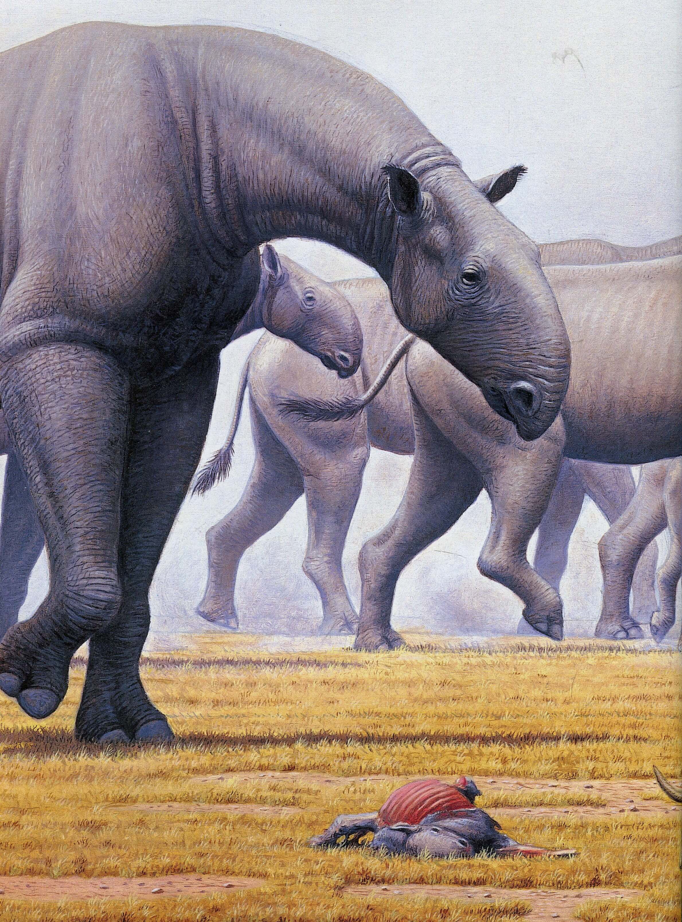 Книга "Несерийный. Тарнер А. Животные доледникового периода. Большая энциклопедия" (у) (5327) 11