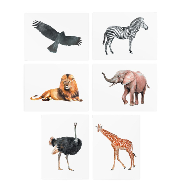 Тимчасові тату "Animal set", TATTon.me
