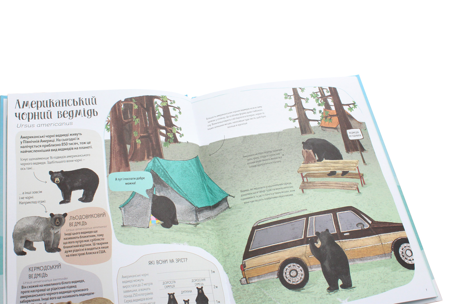 Книга "Віґґерс К. Ведмежа книга" (у) (9624) 4