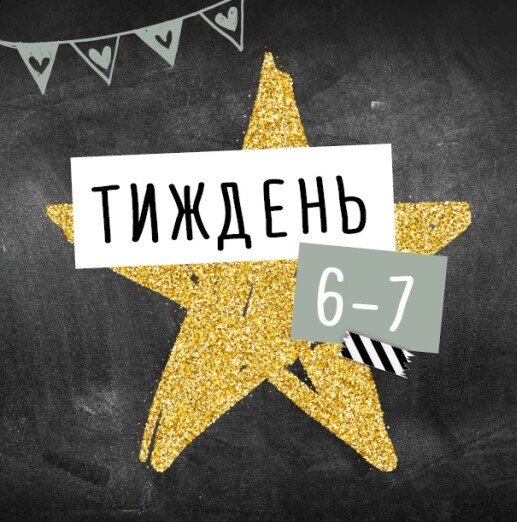 Щоденник мами та малюка: Щоденник вагітності (у) (8317) 6