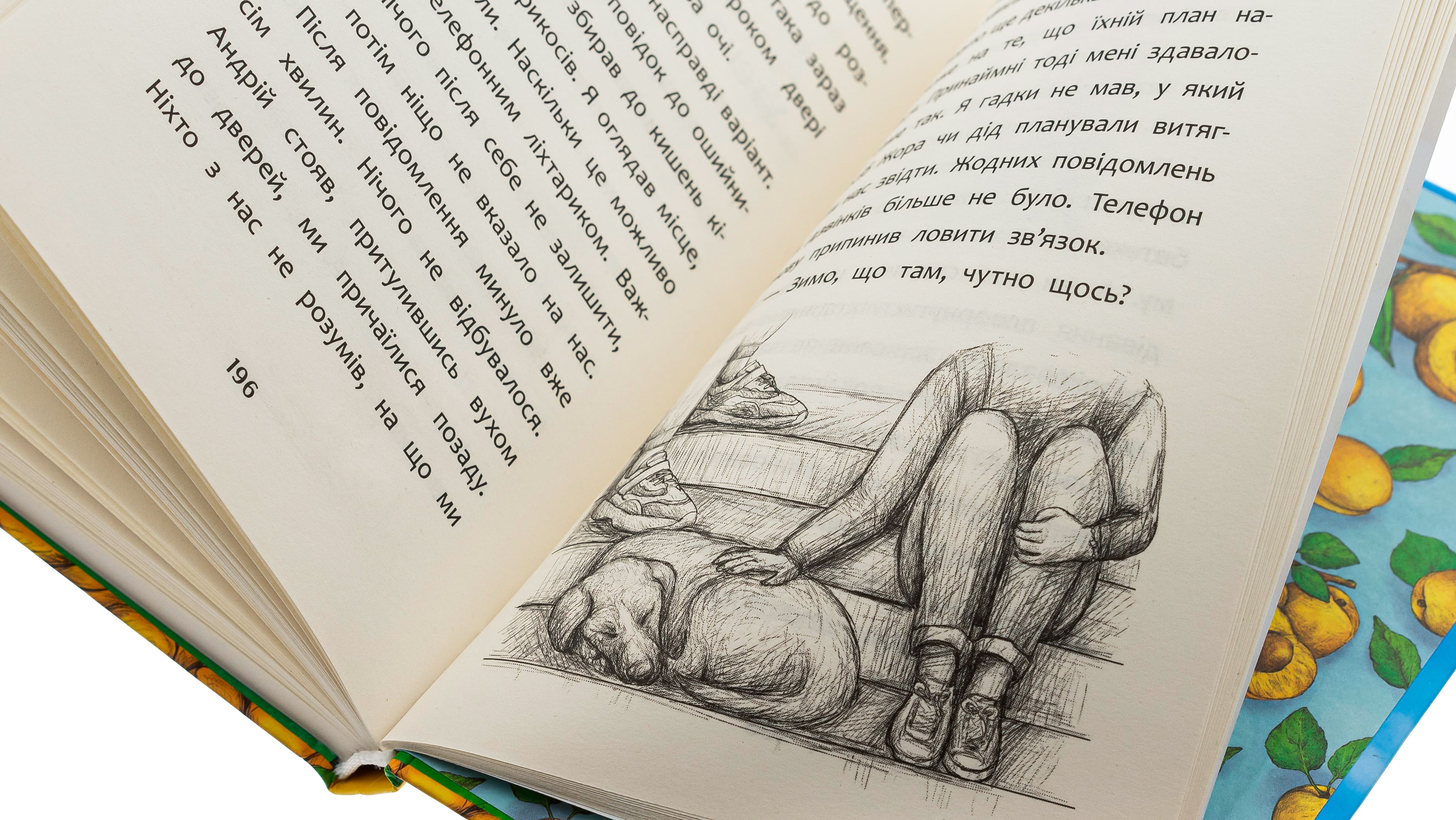 Книга "Журавель Д. Нікому ані слова, або Як розлюбити абрикоси" (у) (7454) 3