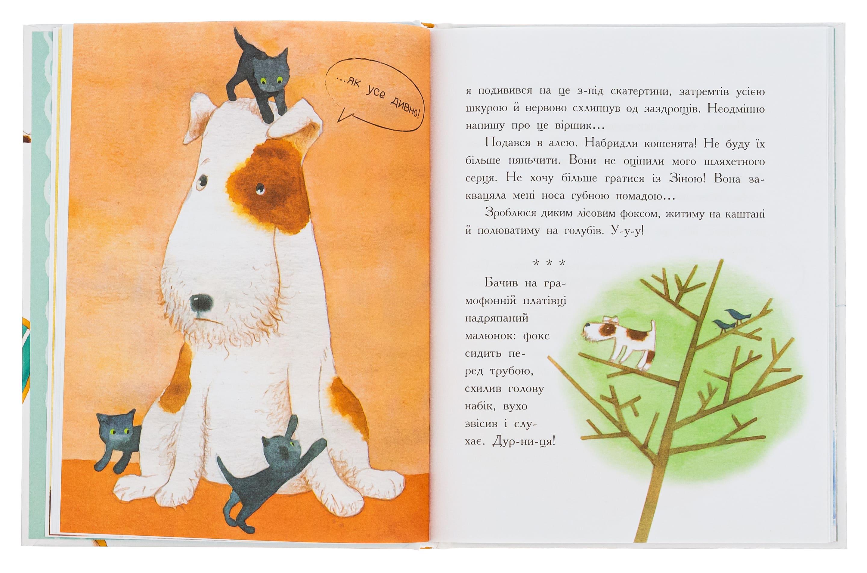 Книга "Книжковий калейдоскоп: "Чорний С. Щоденник фокса Міккі" (у) (4365) 4