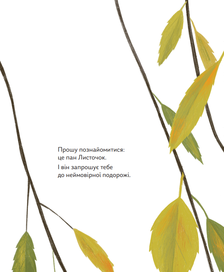 Книга "Драчковская О., Лукащук Х. Про що мріють листочки" (у) (4912) 4