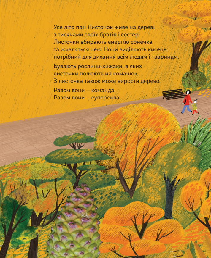 Книга "Драчковская О., Лукащук Х. Про що мріють листочки" (у) (4912) 6