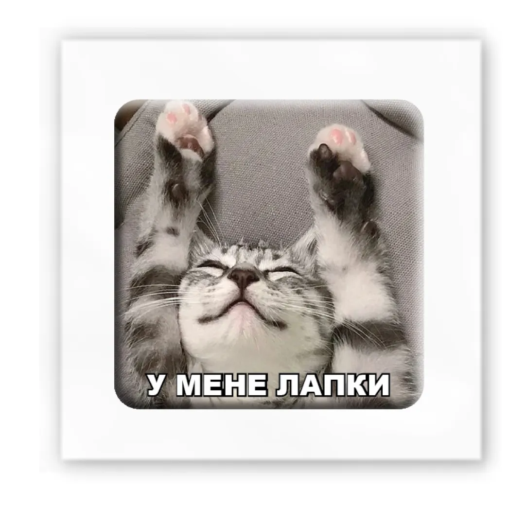 3D стікер "У мене лапки"