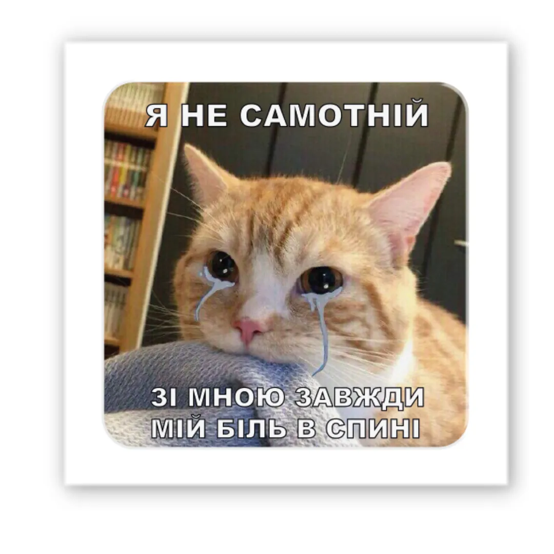 3D стикер "Одинокий кот"