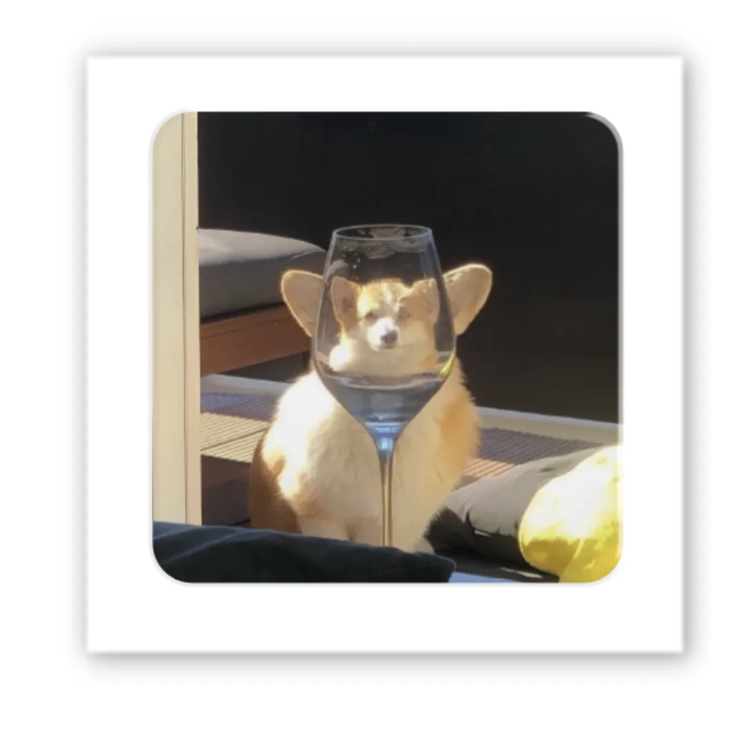 3D стікер "Коргі"