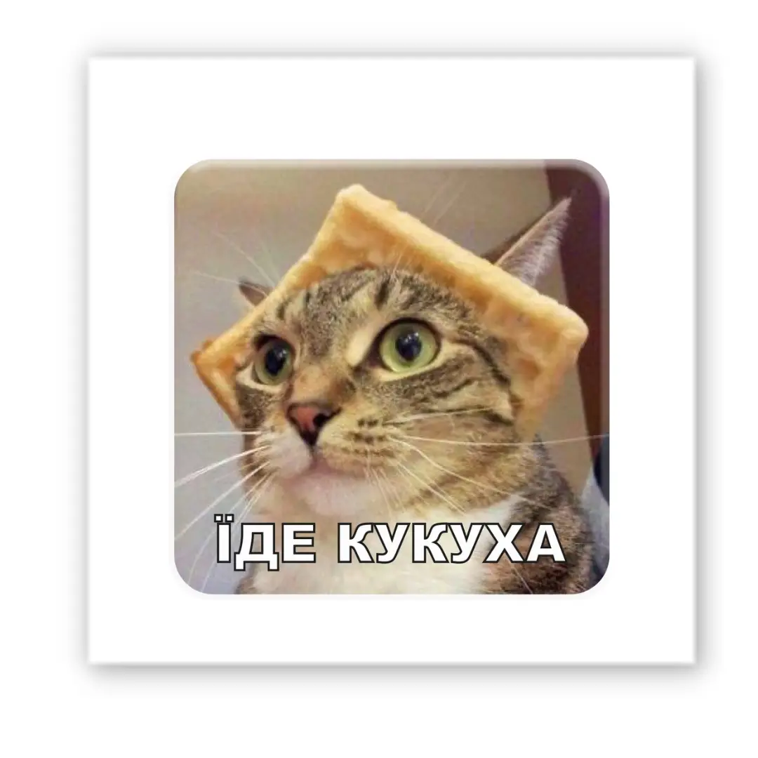 3D стікер "Їде кукуха"