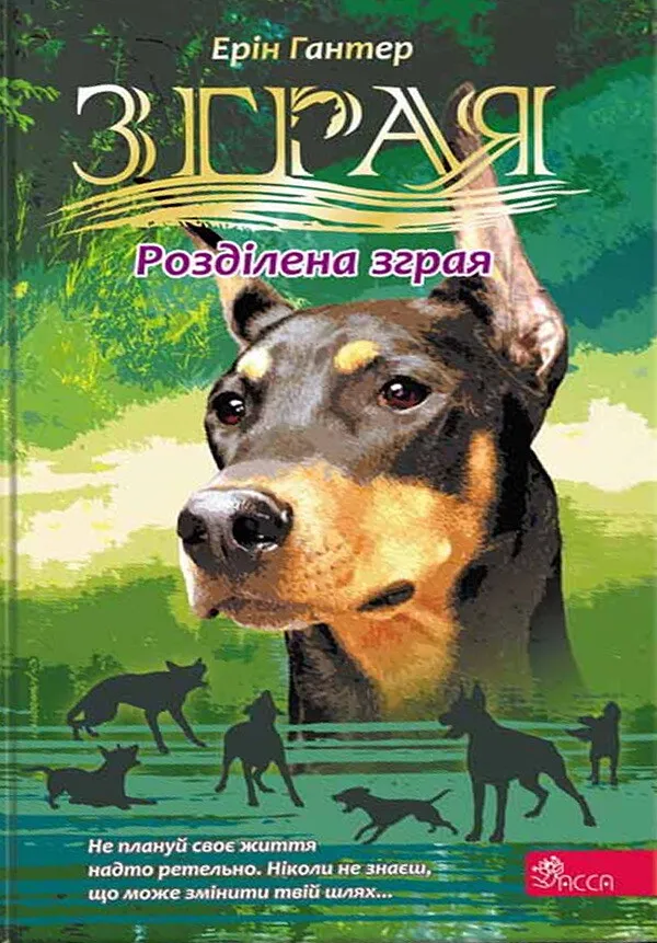 Книга "Гантер Е. Зграя. Кн.7. Розділена зграя" (у) (7266)