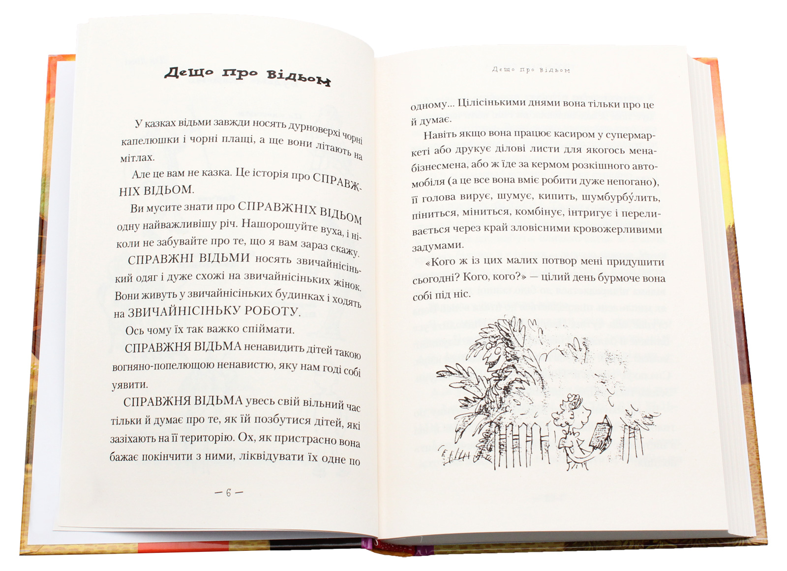 Книга "Дал Р. Відьми" (у) (1180) 2