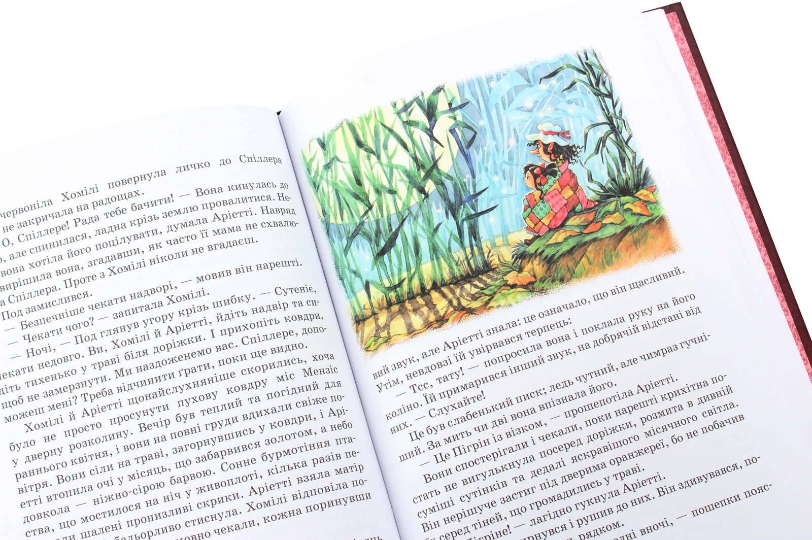 Книга "Нортон М. Роздобудьки у гніві" (у) (3881) 5