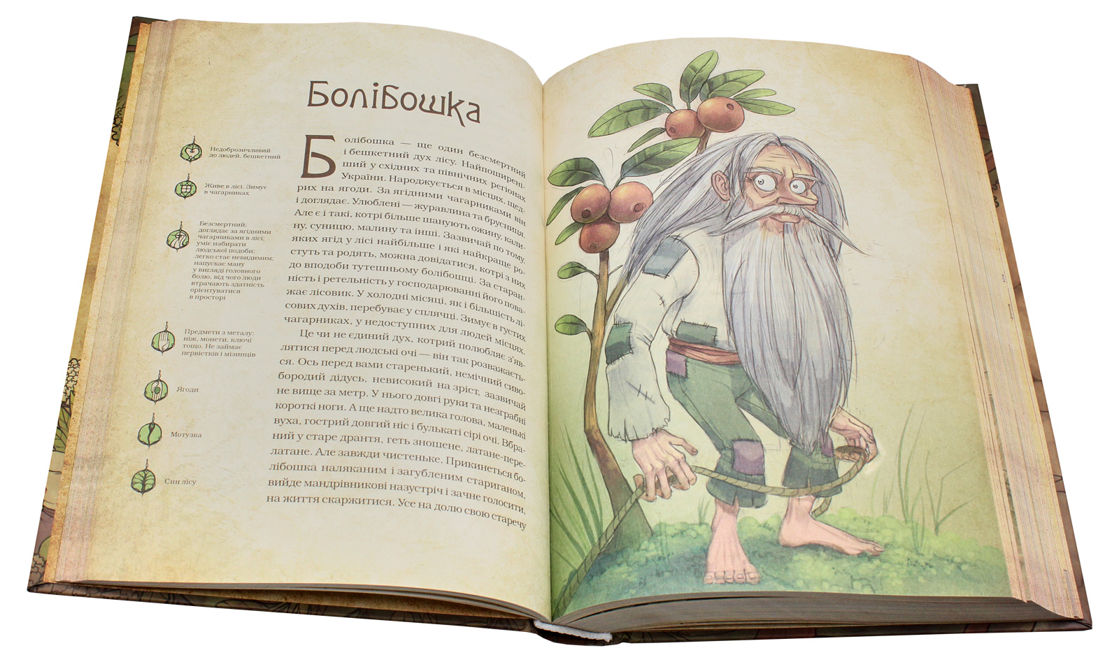 Книга "Корній Д. Чарівні істоти українського міфу. Духи природи" (у) (8982) 5