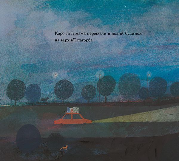Книга "Хелмор Дж., Джонс Р. Сніговий лев" (у) (7181) 6