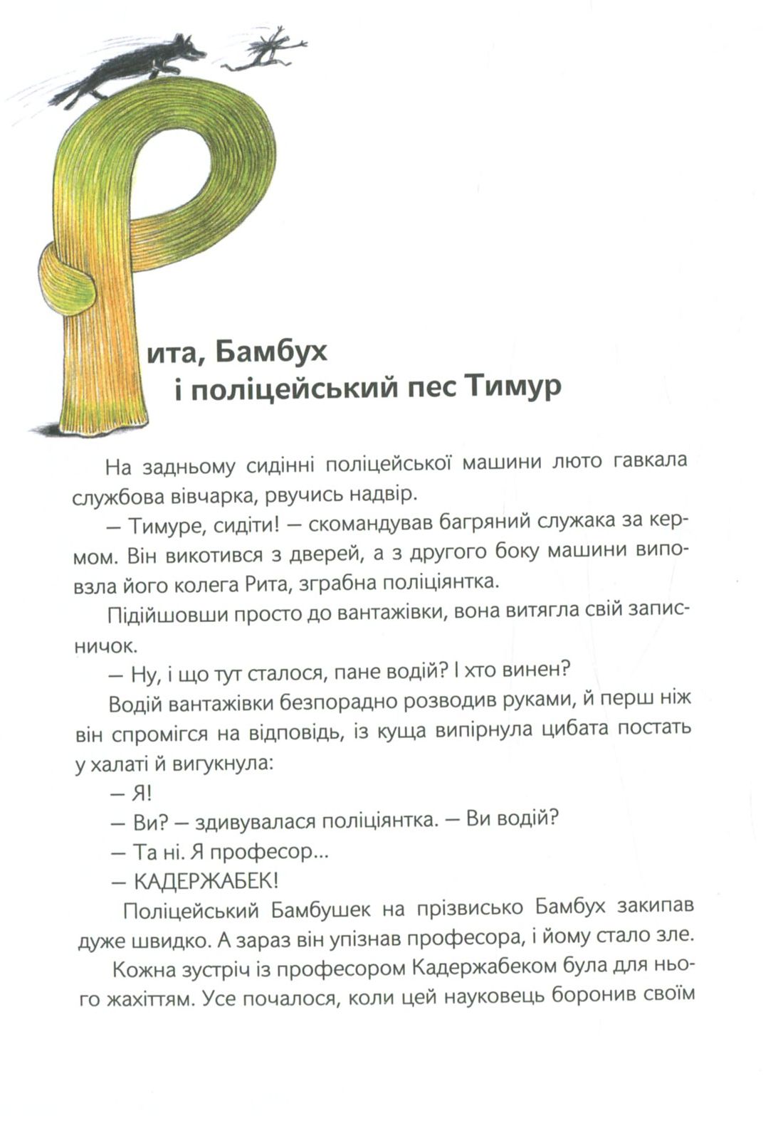 Книга "Шрут П. Шкарпеткожери завжди поряд" (у) 10