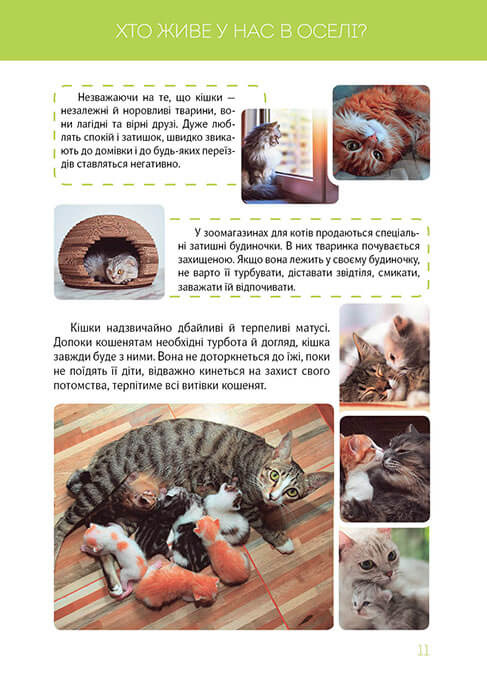 Книга "Найкращий подарунок: Велика книга про тварин" (у) (8370) 3