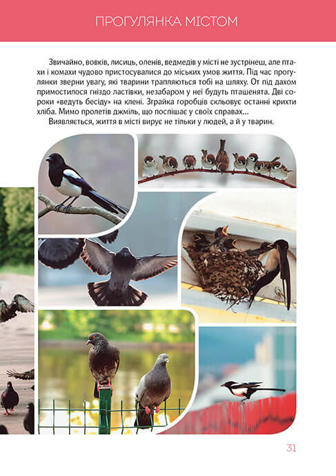 Книга "Найкращий подарунок: Велика книга про тварин" (у) (8370) 7
