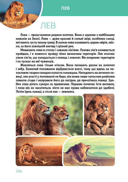 Книга "Найкращий подарунок: Велика книга про тварин" (у) (8370) 10