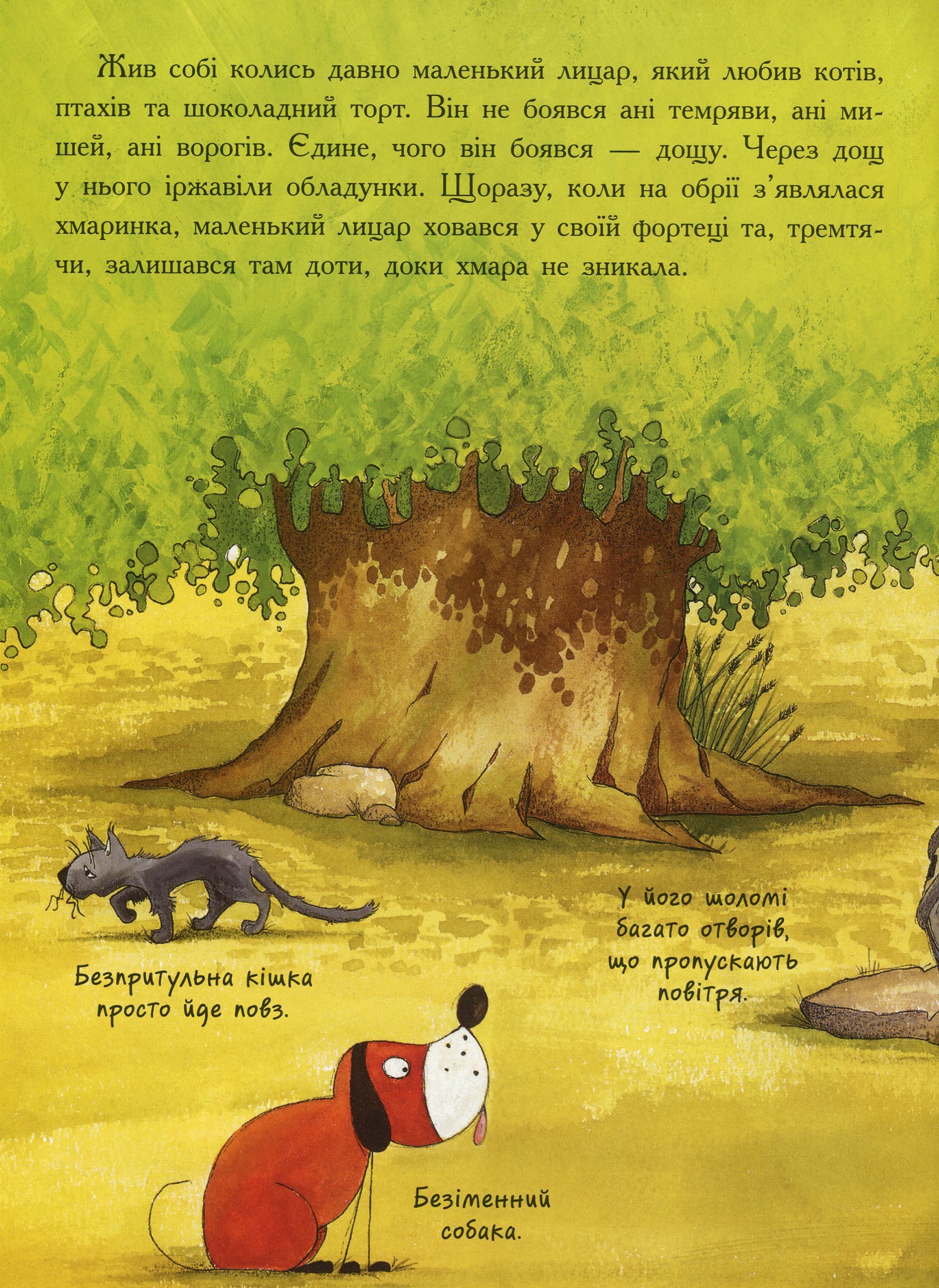Книга "Маленький лицар, який боровся з дощем. Тібо Ж., Деспре Ж." (у) (3682) 7