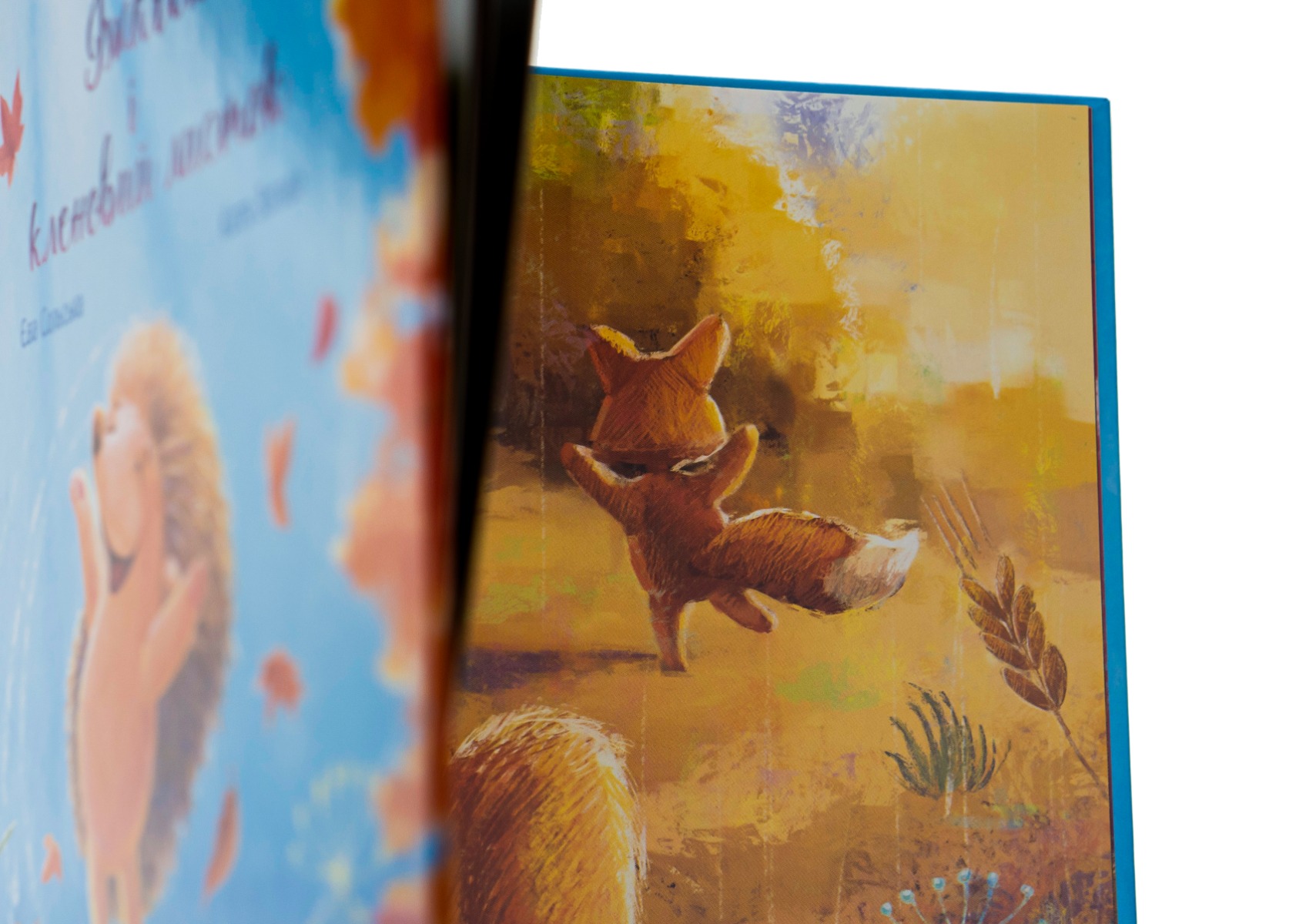 Книга "Зворушливі книжки: Сольська Є. Їжачок і кленовий листок" (у) (4046) 3