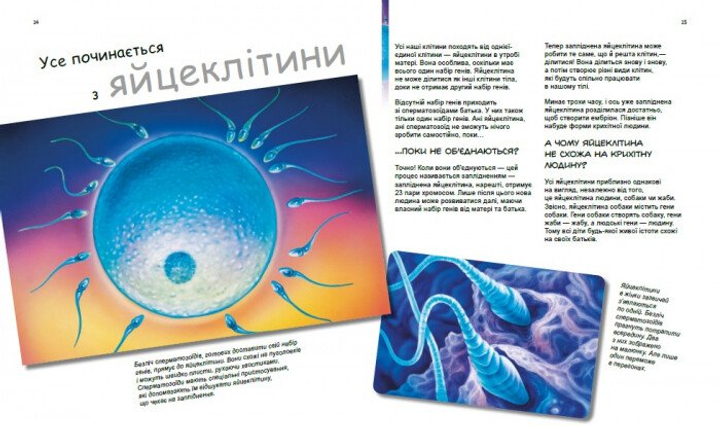 Книга "Генетика для дітей : X та Y, дівчинка або хлопчик" (у) (9910) 2