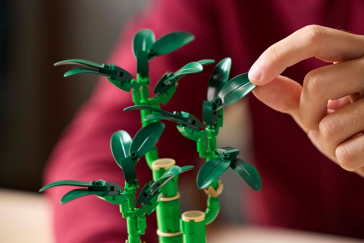 Конструктор Lego Botanicals "Бамбук счастья", 10344 5