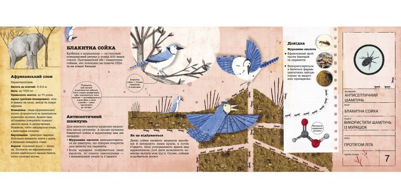 Книга "Архитекторы в мире животных" Д. Нассар (у) 1