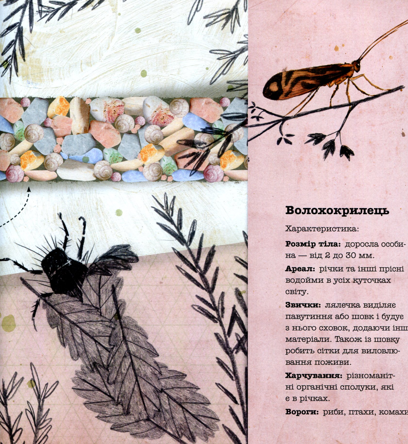 Книга "Архитекторы в мире животных" Д. Нассар (у) 6