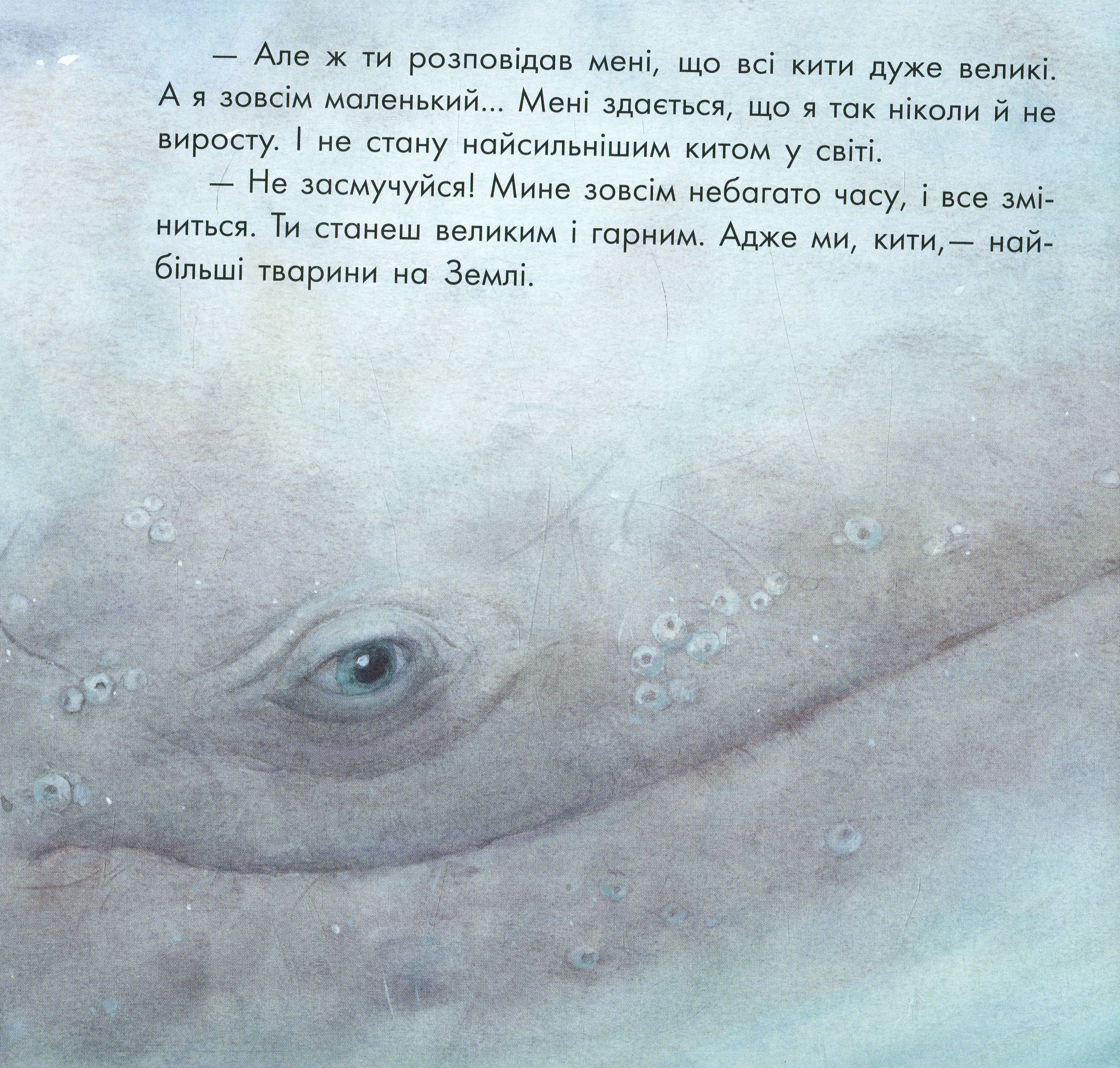 Книга "Казкотерапія. Чуб Н. Маленький Кит" (у) (9006) 6