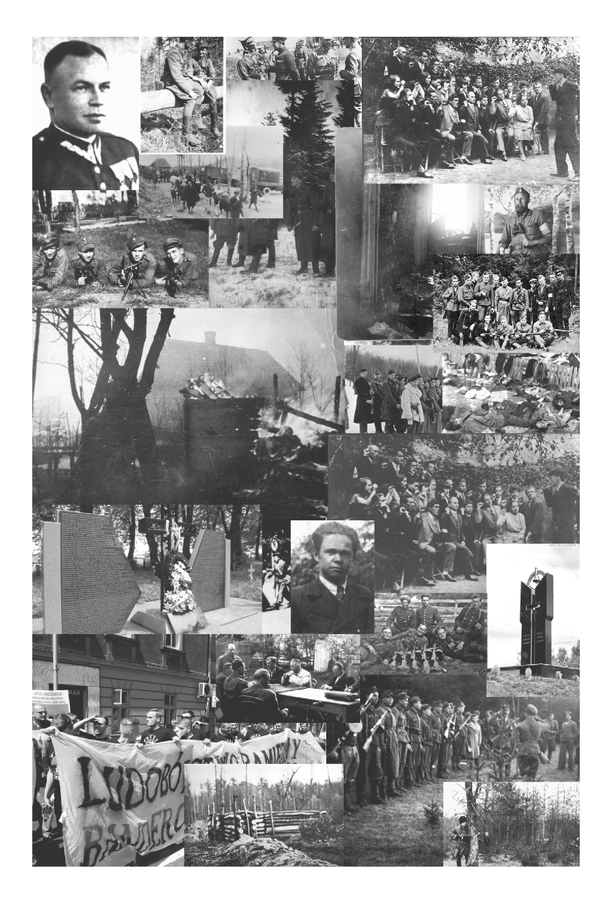 Книга "Вятрович В. За лаштунками "Волині-43". Невідома польско-українська війна" (у) (5773) 15