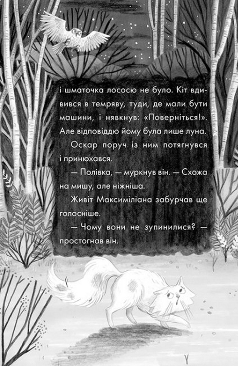 Книга "Макс кот-детектив: Портрет призрака. Книга 2" (у) (8661) 5