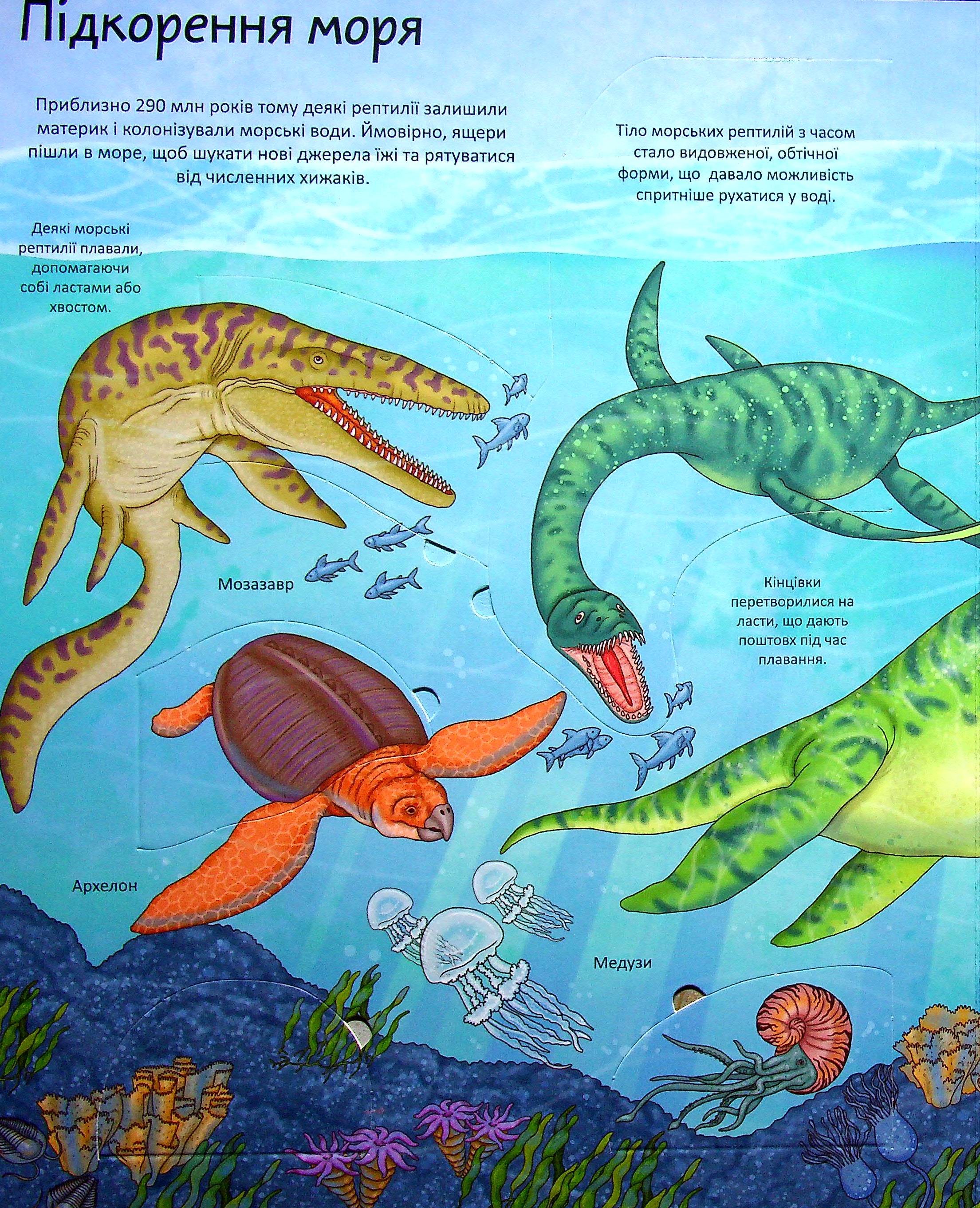 Книга "Интересное внутри: Динозавры" (у) (0122) 17