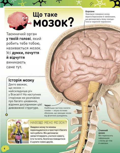 Книга "РС: Карколомний мозок. Імпульсивні нейрони, мінливі синапси, хвостаті аксони" (у) (3856) 7