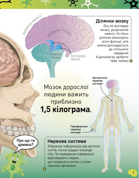 Книга "РС: Карколомний мозок. Імпульсивні нейрони, мінливі синапси, хвостаті аксони" (у) (3856) 8