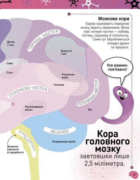 Книга "РС: Карколомний мозок. Імпульсивні нейрони, мінливі синапси, хвостаті аксони" (у) (3856) 12