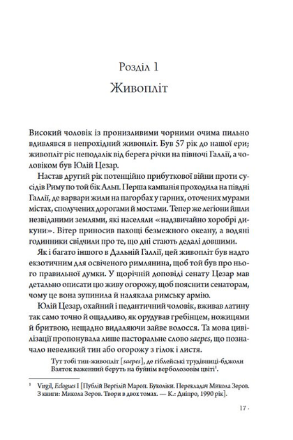 Книга "Робб Гр. Франция: история приключений" (у) (6466) 2