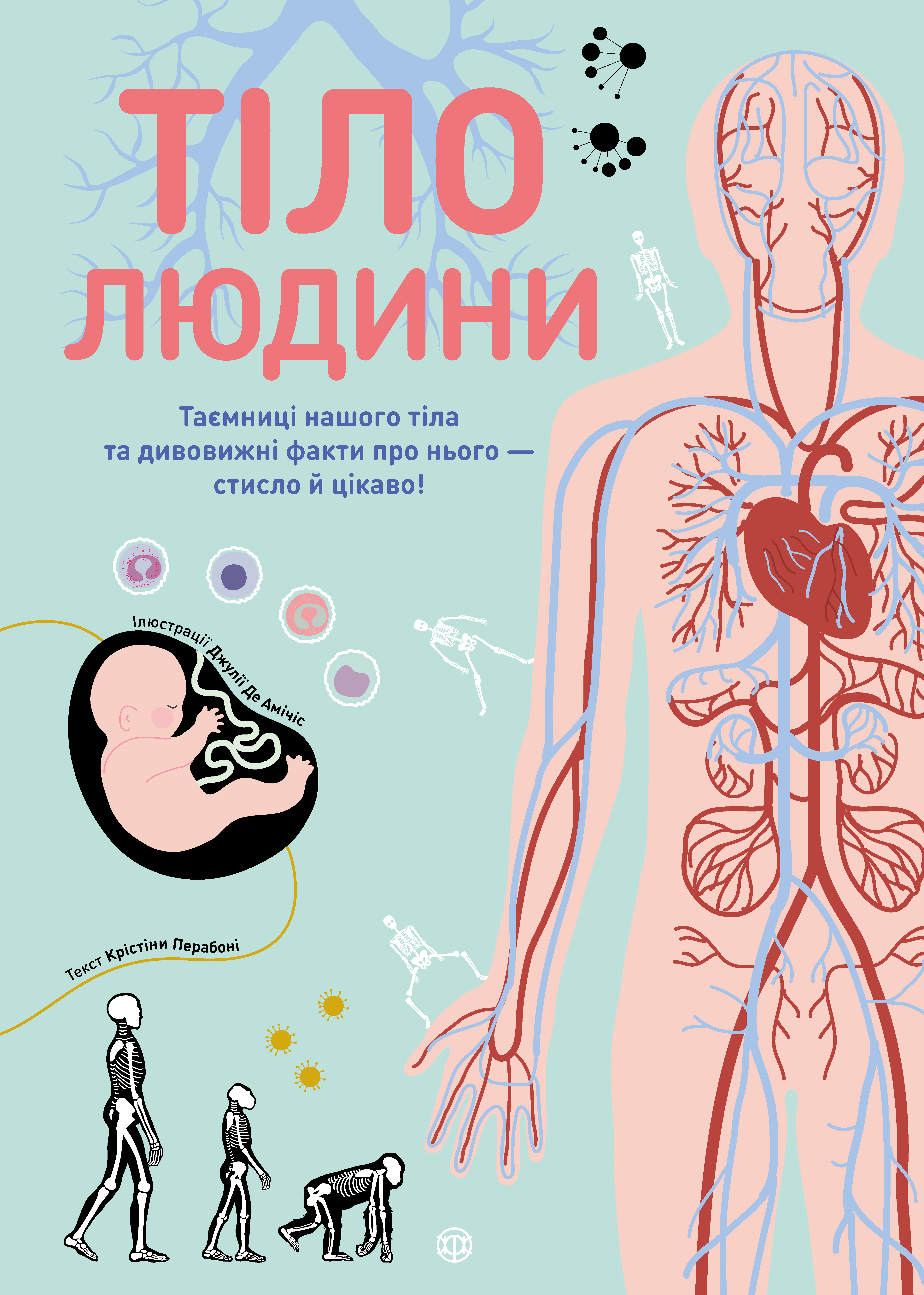 Книга "Перабони К. Тело человека" (у) (3199)